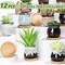 12-Pack 2.5 Inch Mini Ceramic Succulent Pots with Drainage Holes & Bamboo Trays – Small Colorful Plant Planters for Home, Office, Garden, Desk & Indoor Decor (Bulk Set)